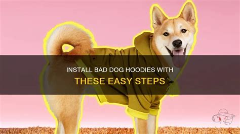 Install Bad Dog Hoodies With These Easy Steps | ShunVogue
