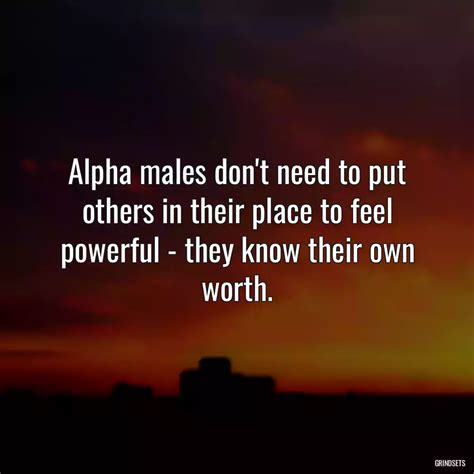 The Ultimate Collection of Alpha Male Quotes for Men | Grindsets