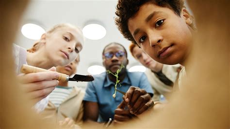 Back to school: How Air Quality Affects Students - Indoor Air Quality White Coat Disinfecting ...