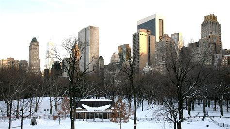 Central Park in the Winter - backiee