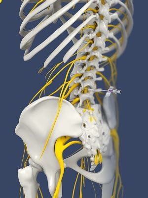 Lumbar Sympathetic Block Oklahoma City, OK | Lower Back Pain Tulsa, OK