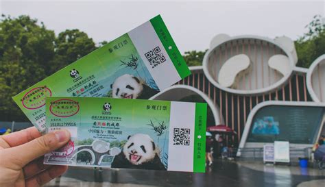 Chengdu Research Base of Giant Panda Breeding Tour