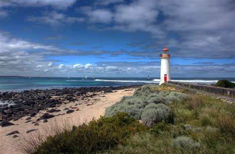 Guide to Warrnambool Whale Watching | Great Ocean Road Collective