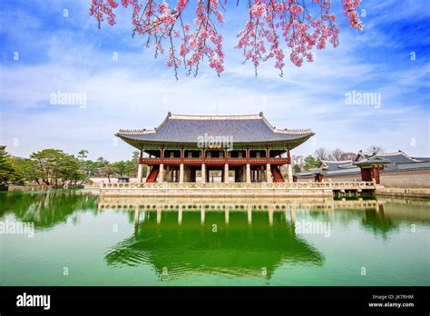 Gyeongbokgung Palace with cherry blossom in spring,South Korea Stock Photo - Alamy