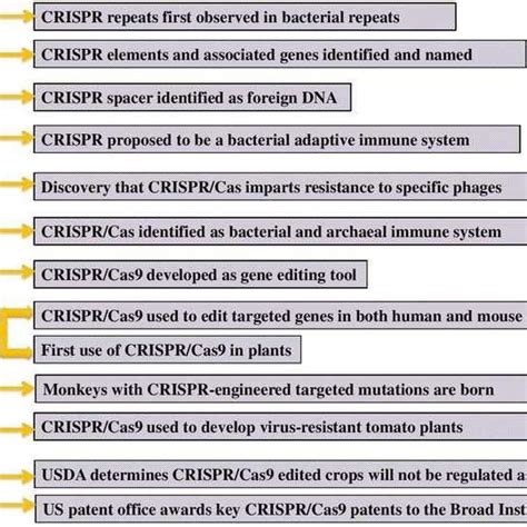 Advantages and disadvantages of ZFNs, TALENs and CRISPR/Cas9 | Download ...