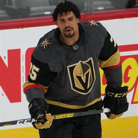 Ryan Reaves Stats, News, Videos, Highlights, Pictures, Bio - New York ...