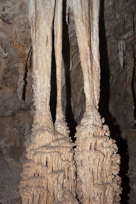 Columns, Carlsbad Caverns NM (vertical) – Geology Pics