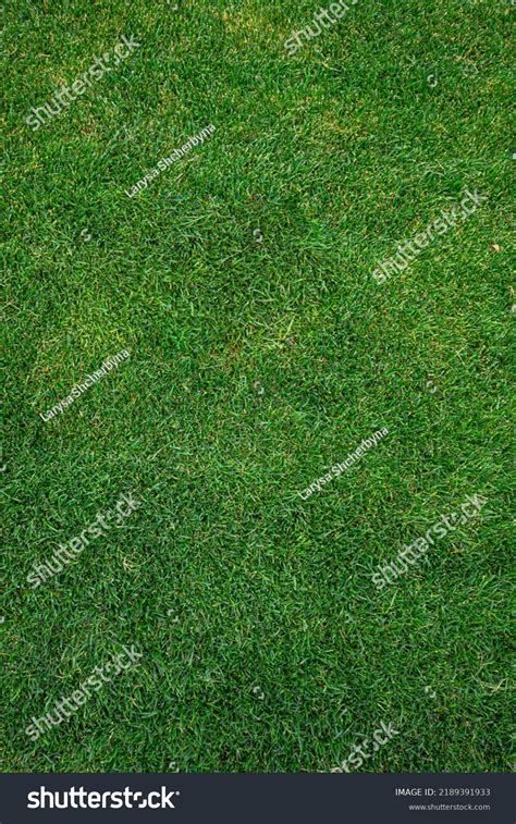 Football Field Grass Texture Stock Photo 2189391933 | Shutterstock