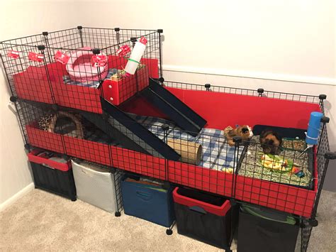 We love this British-themed cage from our creative customer! Keep an ...