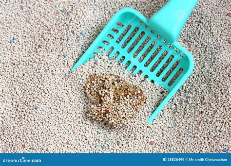 Cat Litter with Cat Sand Scoop Stock Image - Image of green, background: 28826499