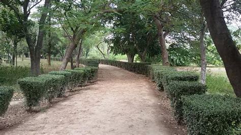 Aligarh Fort: UPDATED 2021 All You Need to Know Before You Go (with PHOTOS)