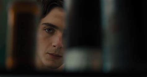 Timothee Chalamet In Beautiful Boy Trailer Is Sad