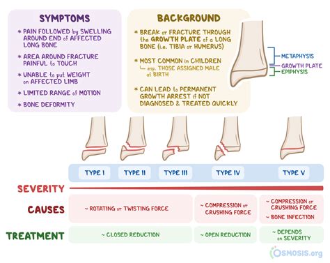 Salter-Harris Fracture: What Is It, Types, Treatment, and More | Osmosis