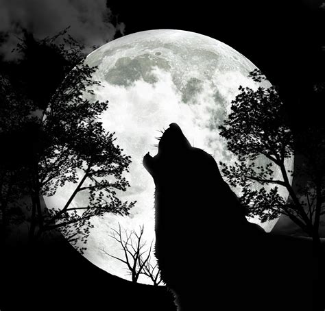 Moon Wolf Wallpapers - Wallpaper Cave