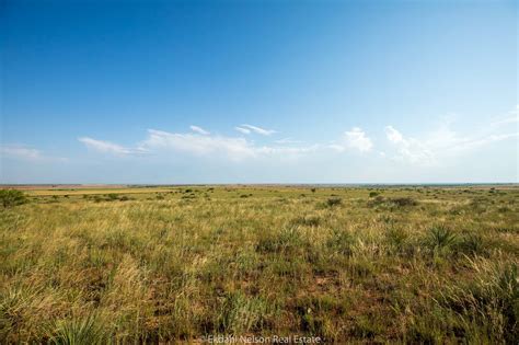 West Texas Ranch for Sale | China Grove | Farm and Ranch Property