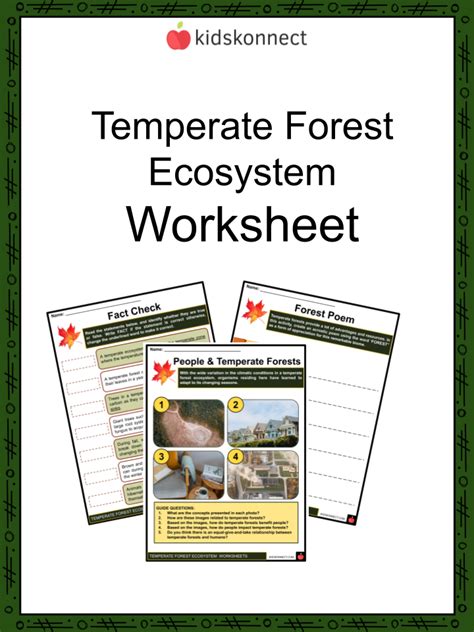 Temperate Forest Ecosystem Worksheets | Geography, Climate, Flora and Fauna