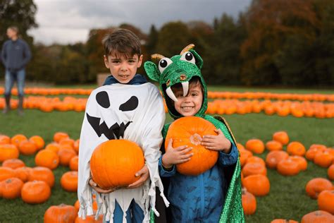 Best Halloween Events in Yorkshire – Stockeld Park