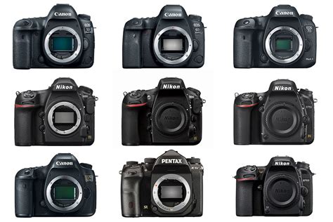 Best DSLR Cameras You Can Buy in 2020, Ranked