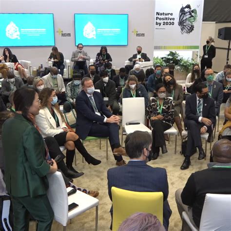 What are the Expectations for a Strong COP15 Outcome? - Africa Biodiversity Collaborative Group ...