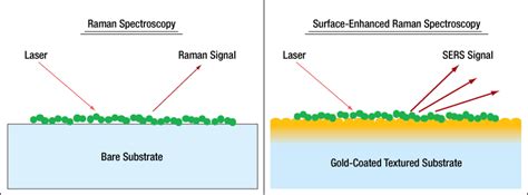 Surface-Enhanced Raman Spectroscopy (SERS) Substrate