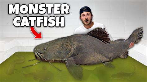 He SURPRISED Me With a MAN EATING CATFISH!! - YouTube