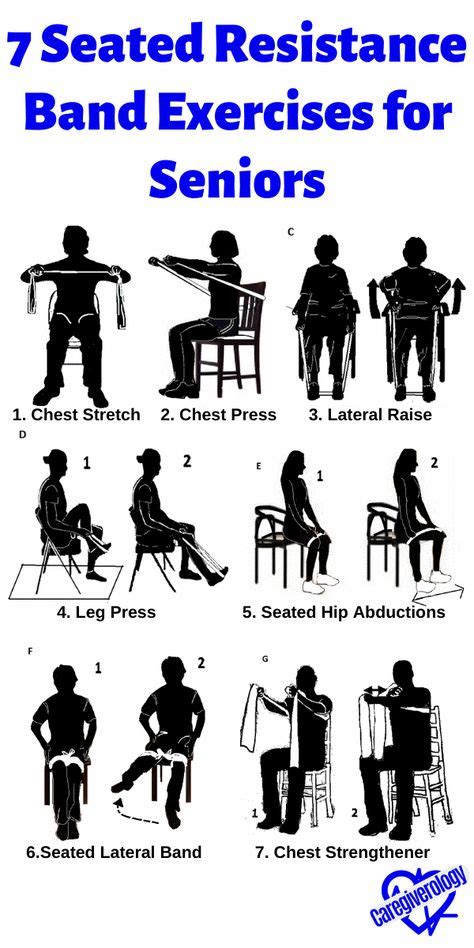 10 Chair exercises for abs ideas in 2021 | chair exercises, senior ...