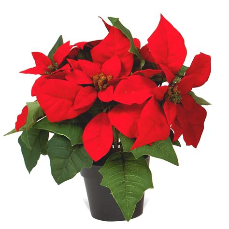 Artificial poinsettia plants in pot | Get beautiful, realistic flowers online