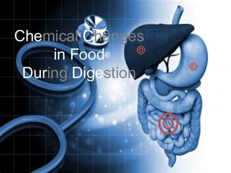 Chemical Changes During Food Digestion