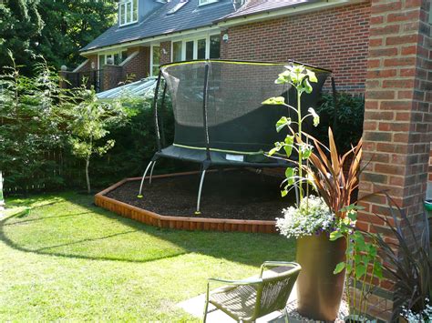 Garden With Trampoline - Plants For Gift