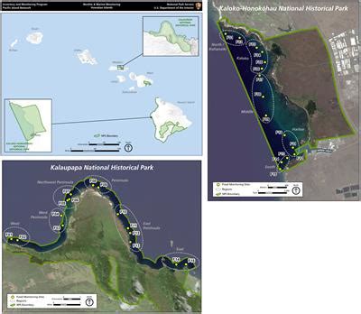 Frontiers | Temporal patterns in coral reef fish assemblages with varying disturbance levels: A ...