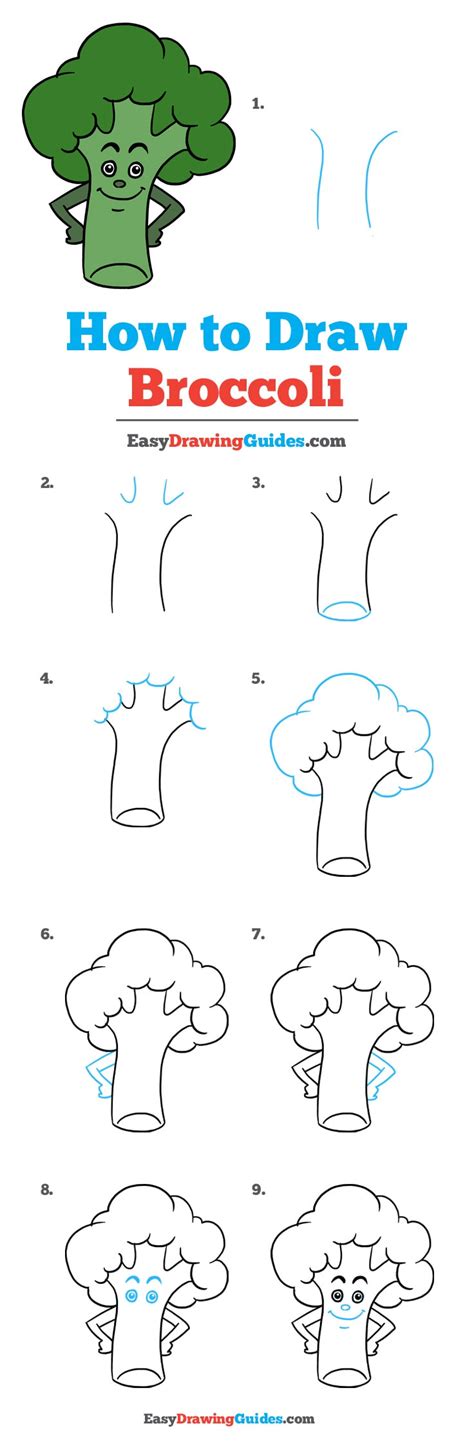 How To Draw Broccoli Really Easy Drawing Tutorial Drawing Tutorial ...