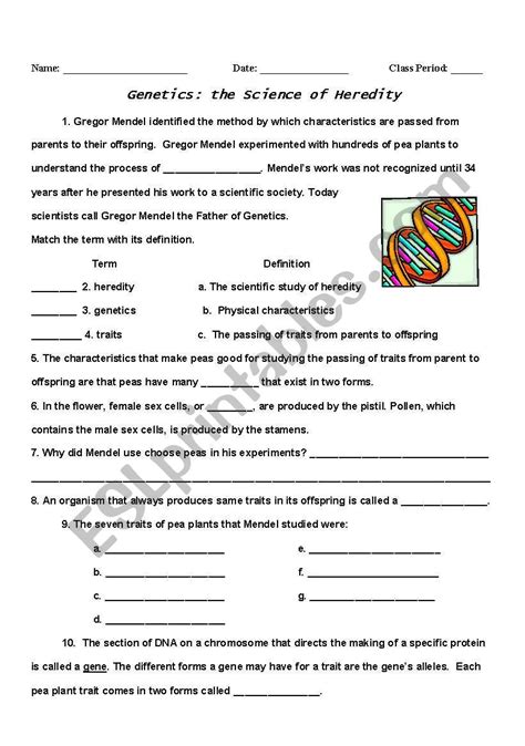 Genetics/Heredity - ESL worksheet by mahogan