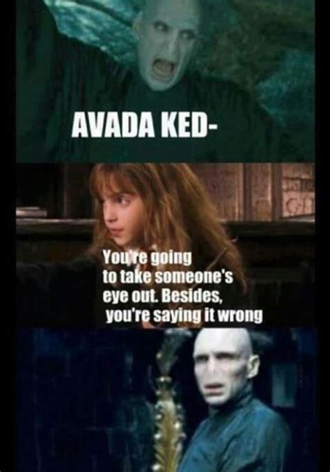 Harry Potter: 25 Memes That Show That Voldemort Makes No Sense