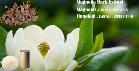 Magnolia bark extract,magnolol, honokiol,CAS: 35354-74-6,CAS : 528-43-8 ...