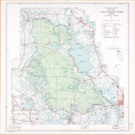 Ocala National Forest, Florida. | Library of Congress