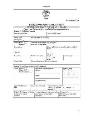 Belize Passport Application Form - Fill and Sign Printable Template Online