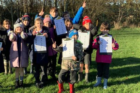 RSPB Big Schools Bird Watch | Broadbent Fold Nursery & Primary School