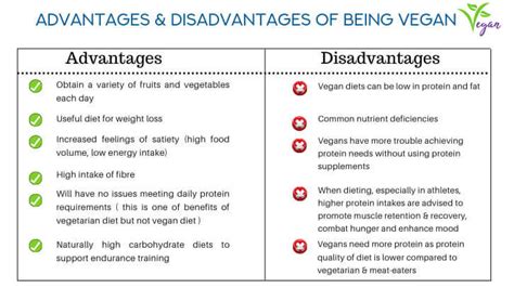 Vegan Diet Pros and Cons - Full Guide (2023 Updated)