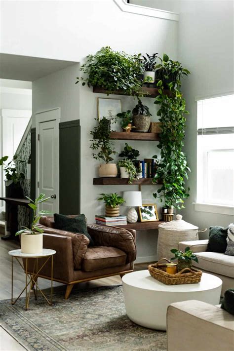 Plant Wall Shelf Ideas {Plant Display Tips!} – Love & Renovations