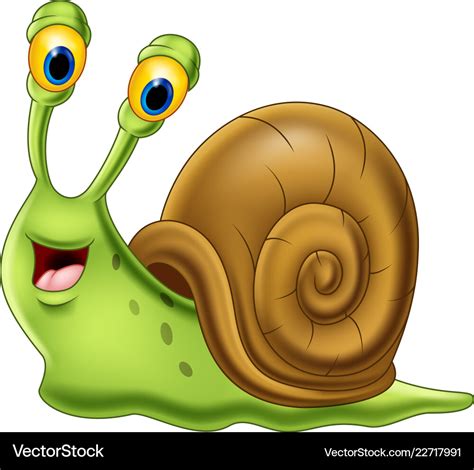 Cute snail cartoon isolated on white background Vector Image