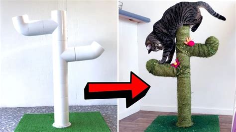 How to Make a DIY Cactus Cat Scratch Post Using PVC Pipes