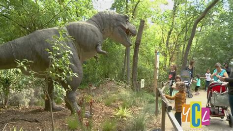 American alligator exhibit coming to Sacramento Zoo | abc10.com