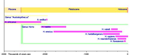 Pleistocene - Wikipedia