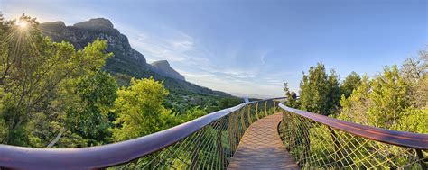 Kirstenbosch Gardens Hiking Trails | Fasci Garden