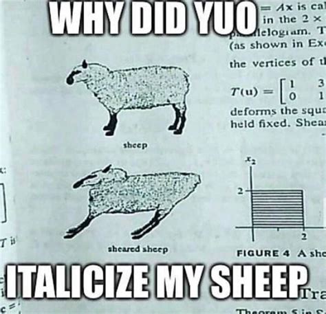 The best Sheep memes :) Memedroid