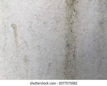 Closeup Gypsum Surface Texture Background Design Stock Photo 2077573582 | Shutterstock