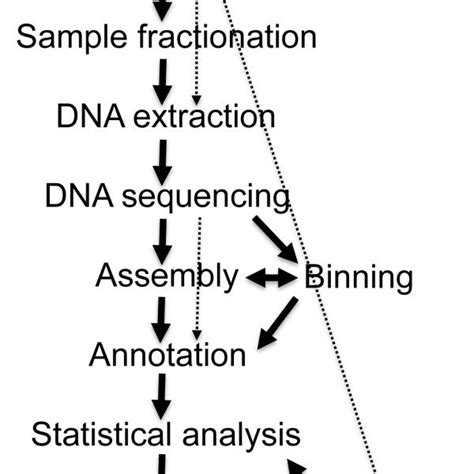 (PDF) Metagenomics - A guide from sampling to data analysis