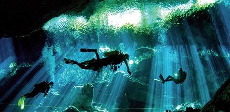 Cenote Diving