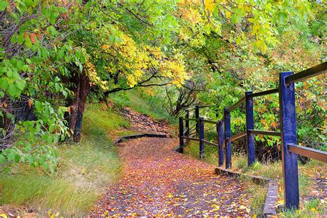 River Valley Trail In Glenora Edmonton Photograph by Carol Cottrell