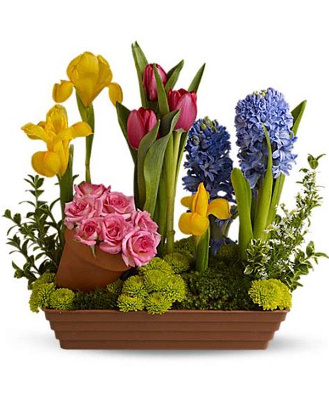 Symbolic Meaning of Traditional Funeral Flowers | Lifestory Occasions